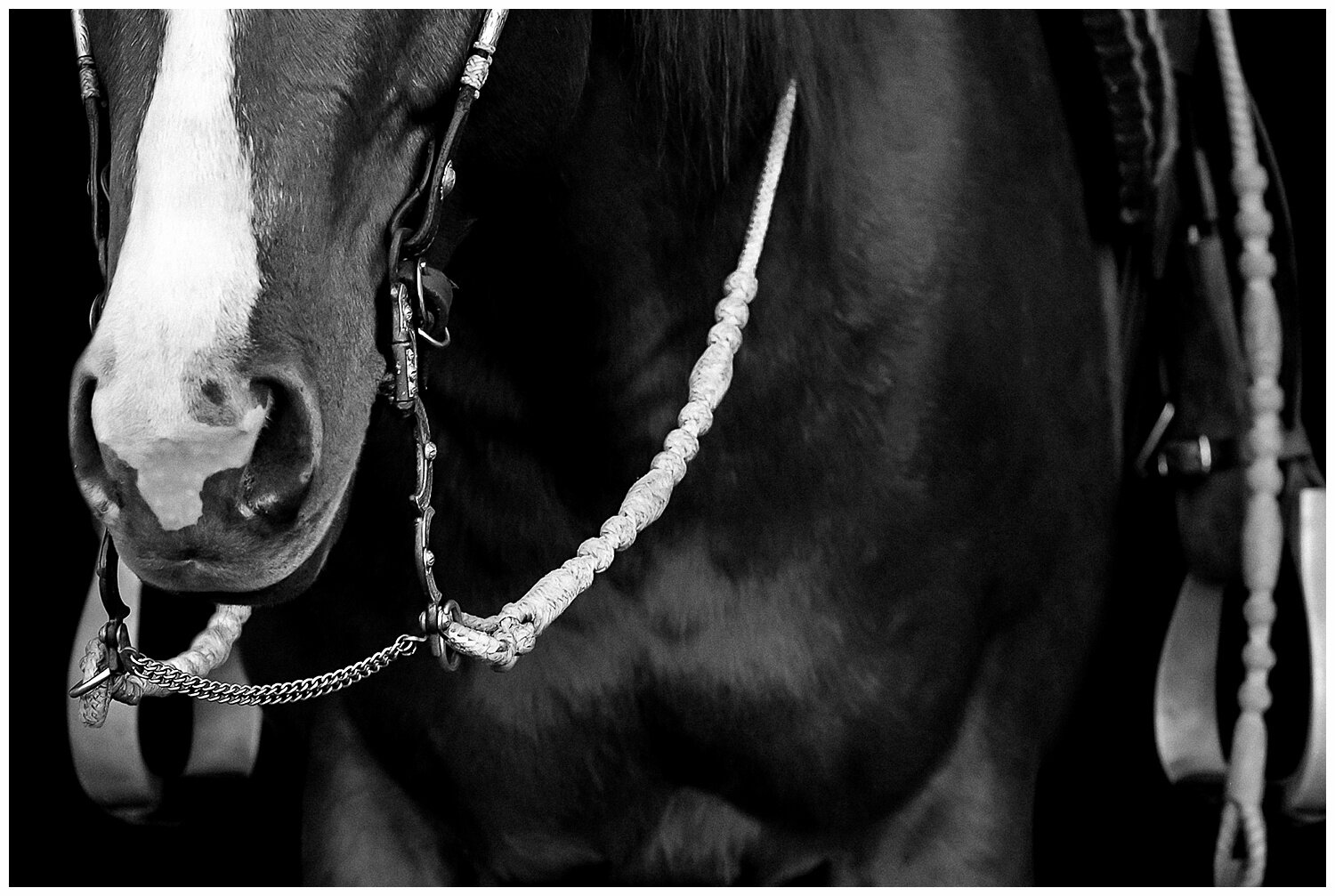 Jordin Fritz Yeager BBG 10.20-By Rachel Griffin Photography-6_website.jpg