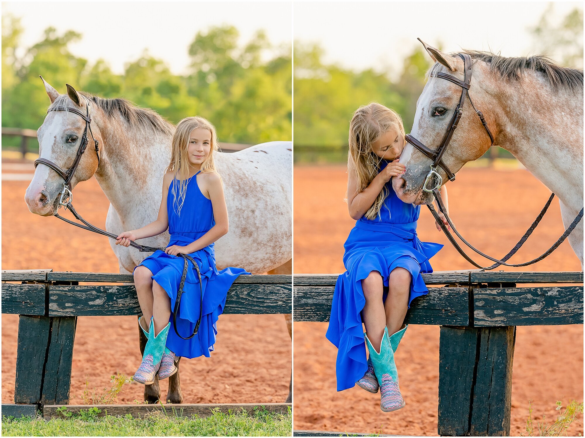 POA Pony of the Americas at Silverwind Stables in Edmond Oklahoma by Equine Portrait Photographer Rachel Griffin