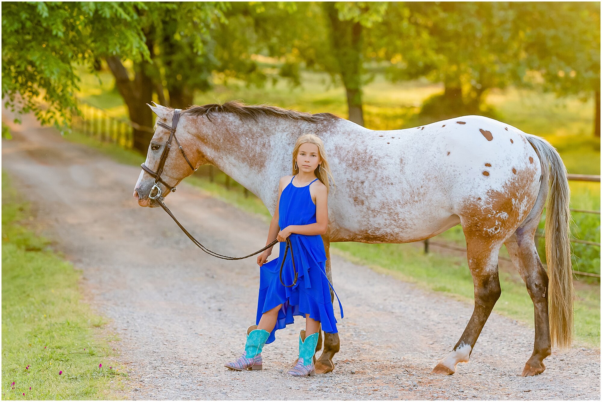 POA Pony of the Americas at Silverwind Stables in Edmond Oklahoma by Equine Portrait Photographer Rachel Griffin