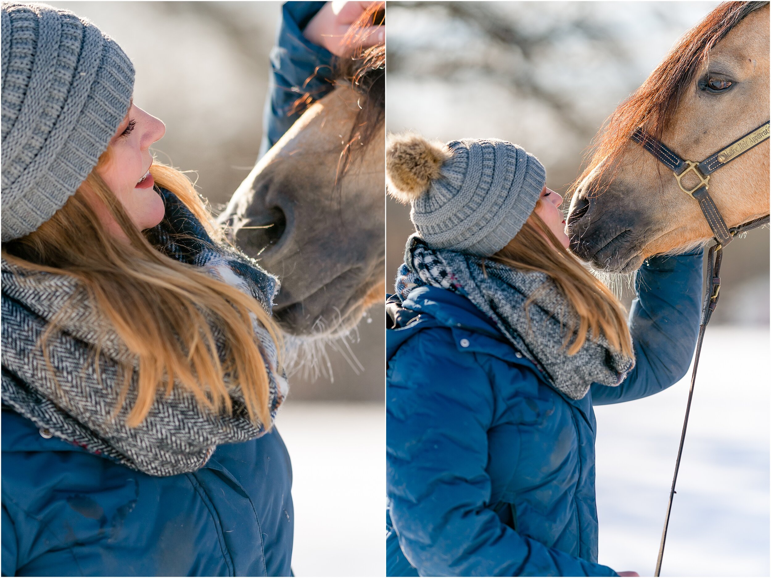 Oklahoma horse photographer winter styled shoot with quarter horses and wesh pony stallion at Johnson Performance Horses by Rachel Griffin Photography_11.jpg