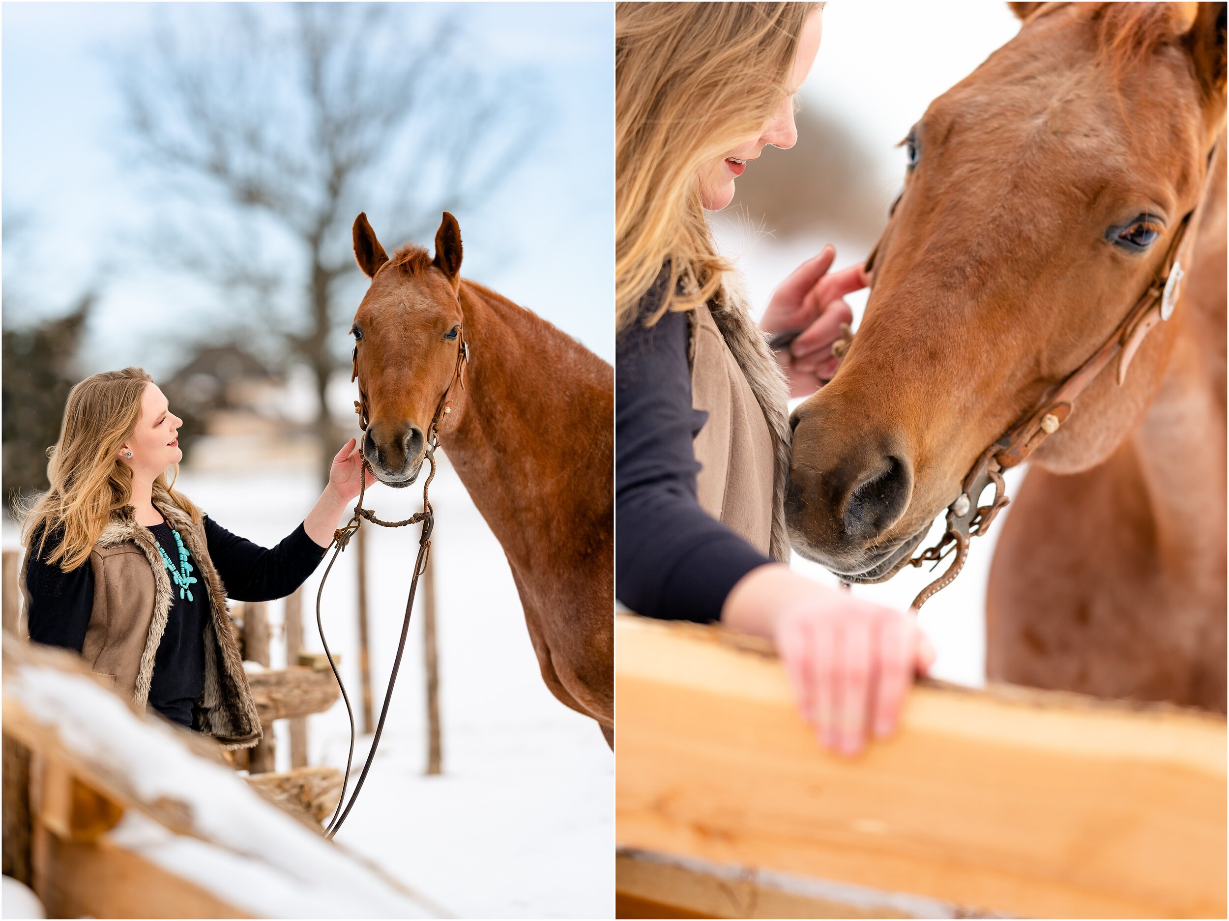 Oklahoma horse photographer winter styled shoot with quarter horses and wesh pony stallion at Johnson Performance Horses by Rachel Griffin Photography_15.jpg