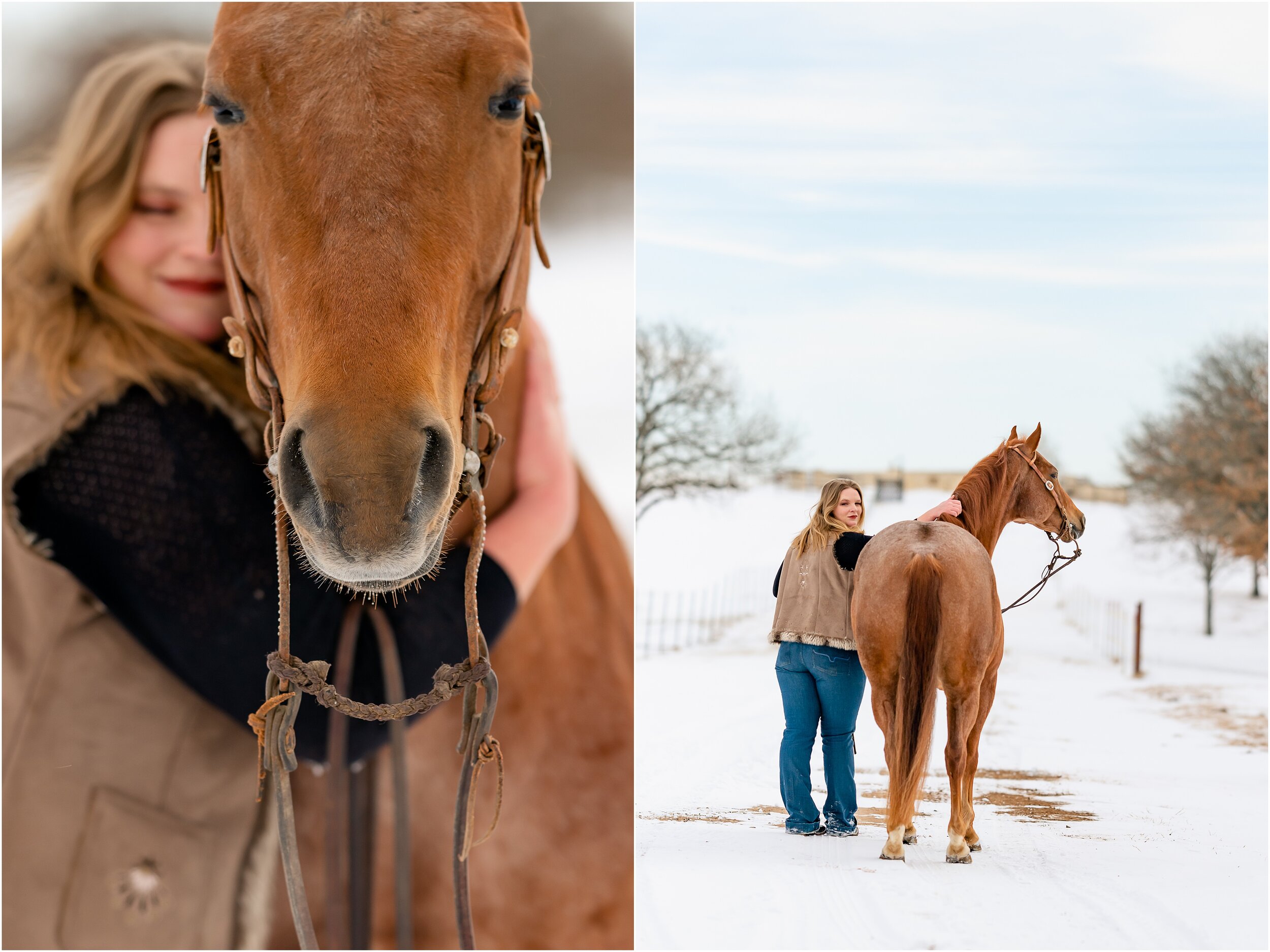 Oklahoma horse photographer winter styled shoot with quarter horses and wesh pony stallion at Johnson Performance Horses by Rachel Griffin Photography_18.jpg