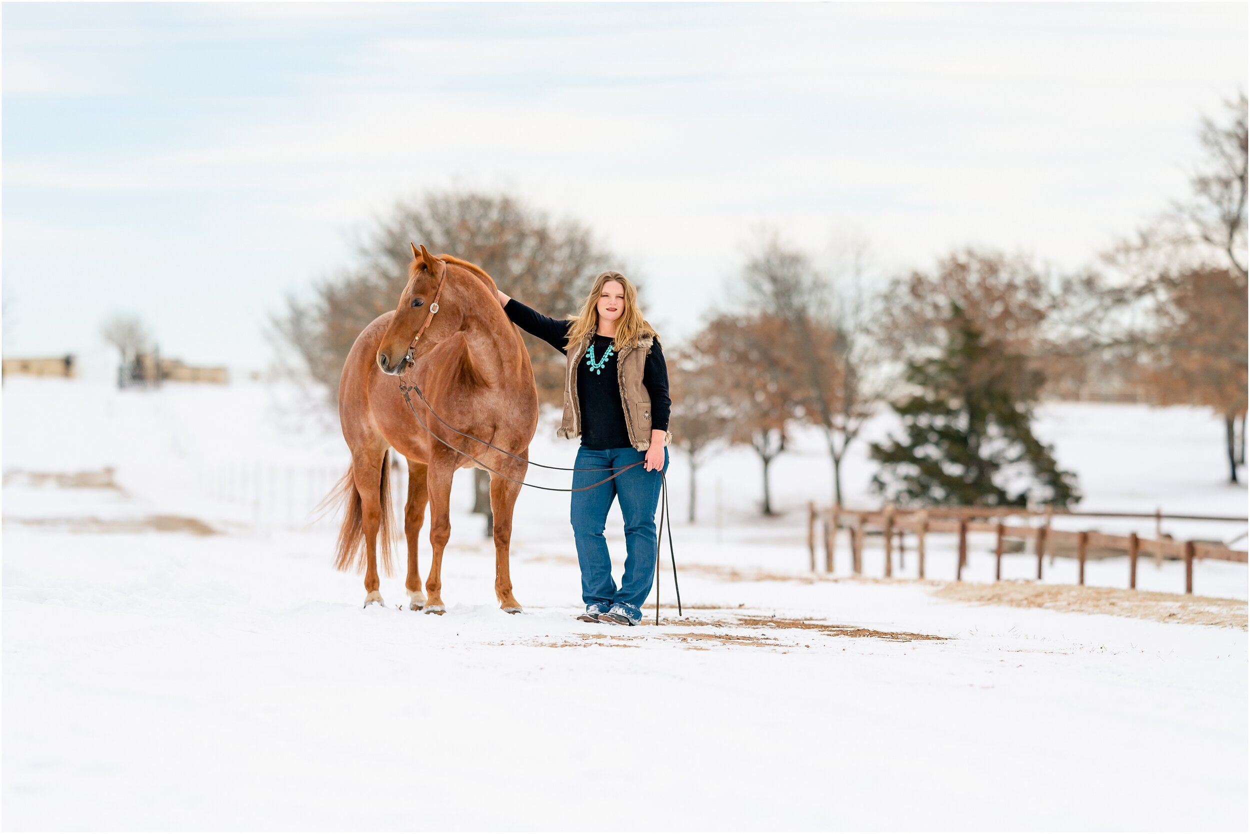 Oklahoma horse photographer winter styled shoot with quarter horses and wesh pony stallion at Johnson Performance Horses by Rachel Griffin Photography_19.jpg