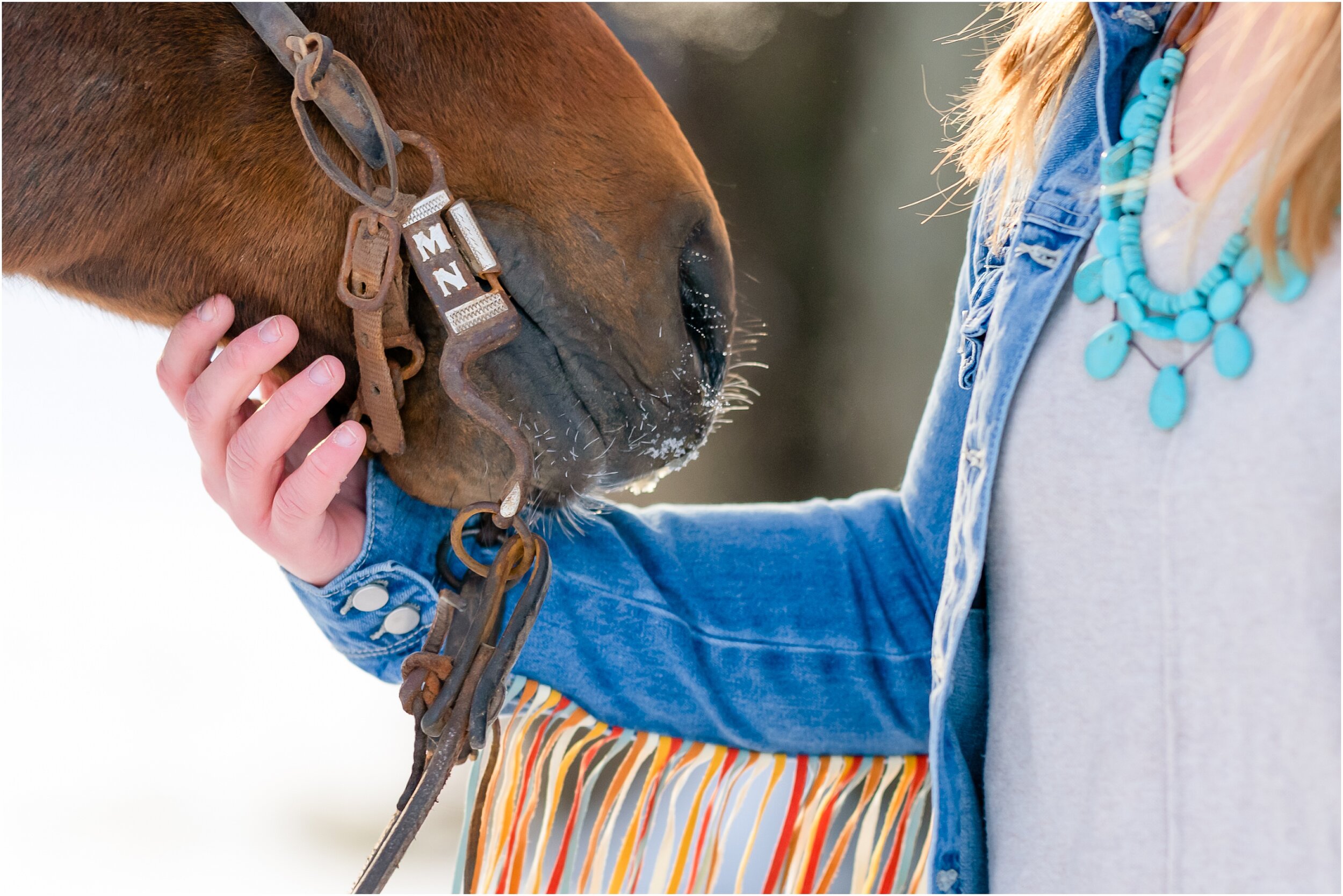 Oklahoma horse photographer winter styled shoot with quarter horses and wesh pony stallion at Johnson Performance Horses by Rachel Griffin Photography_4.jpg