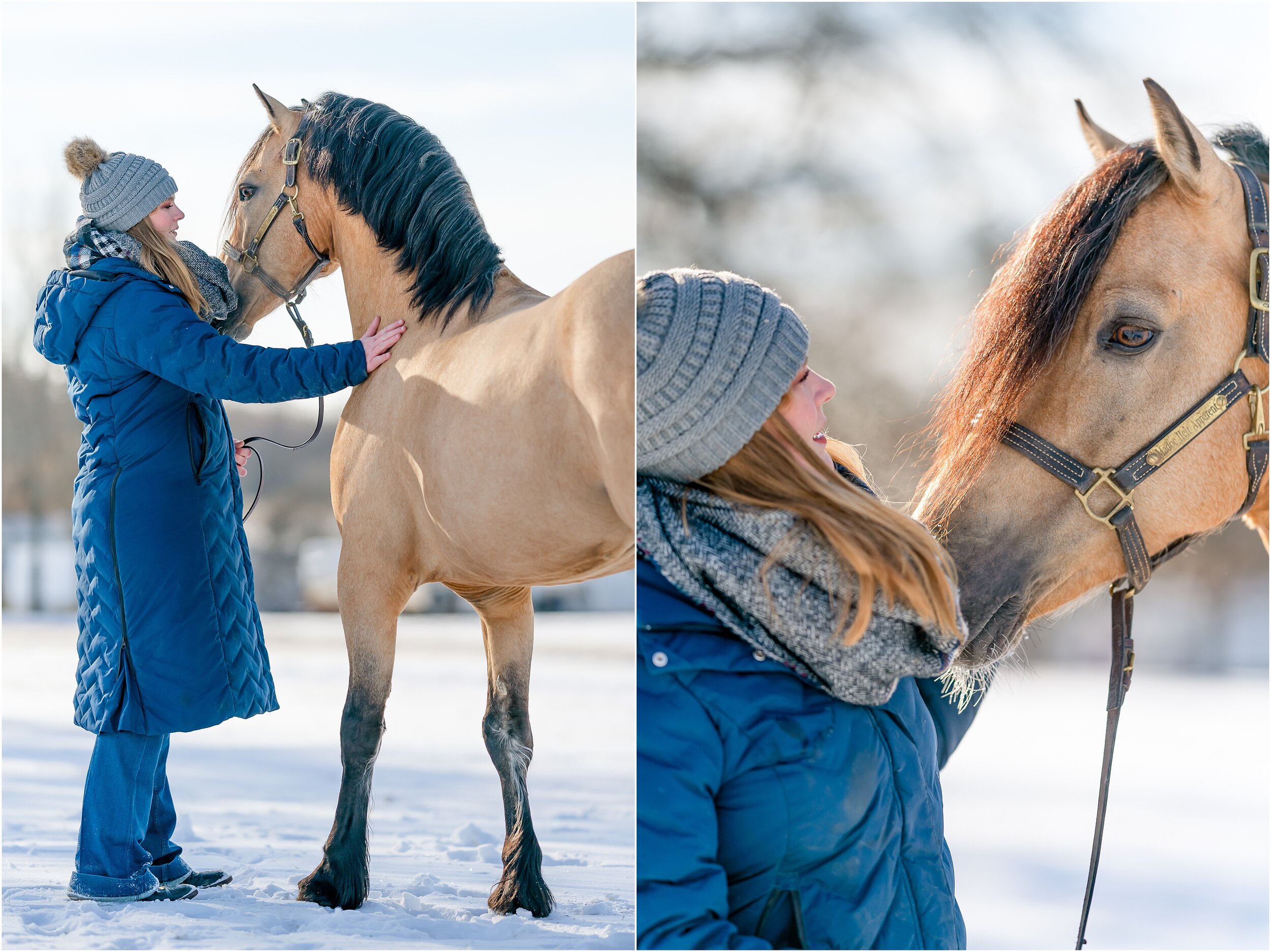 Oklahoma horse photographer winter styled shoot with quarter horses and wesh pony stallion at Johnson Performance Horses by Rachel Griffin Photography_8.jpg