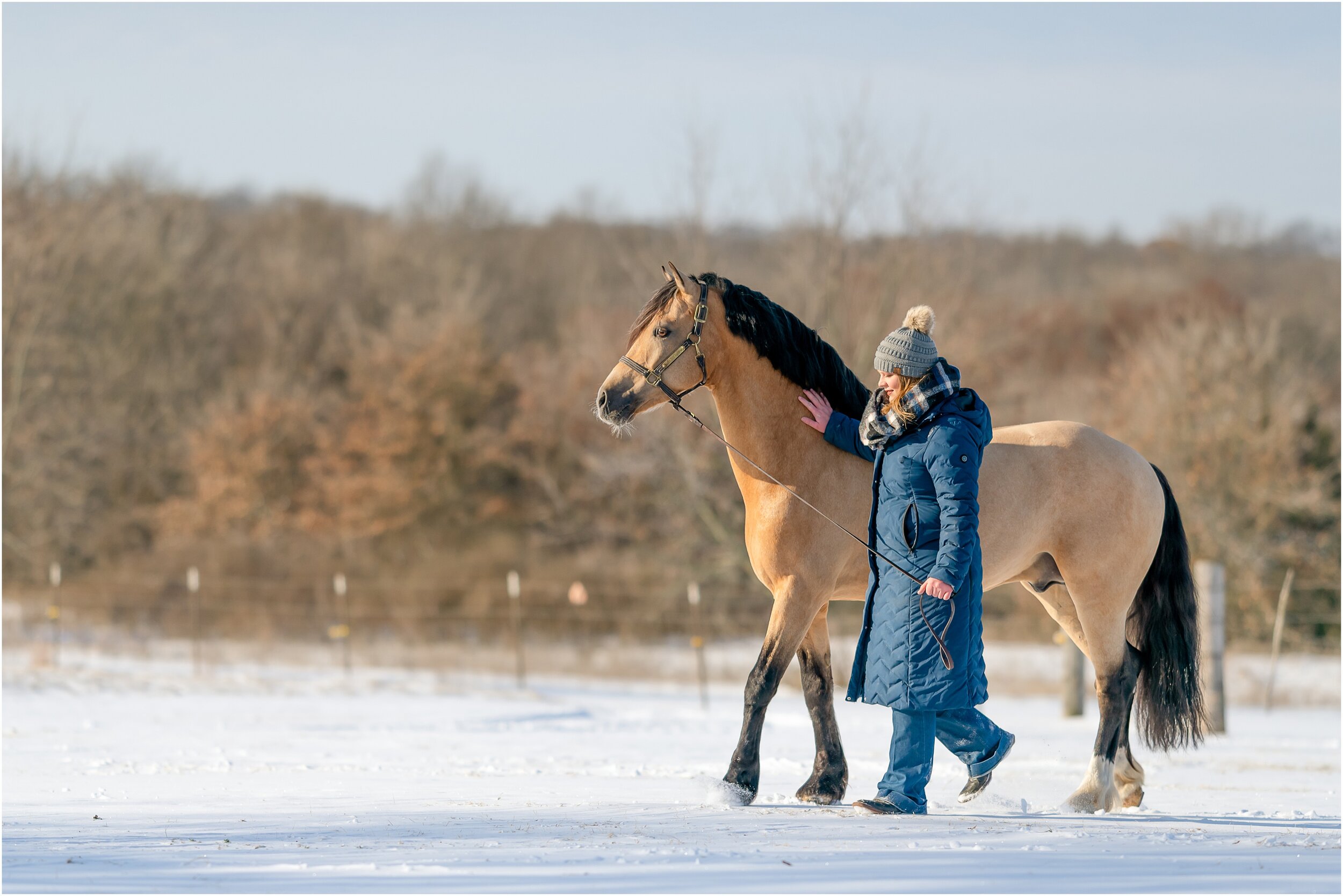 Oklahoma horse photographer winter styled shoot with quarter horses and wesh pony stallion at Johnson Performance Horses by Rachel Griffin Photography_5.jpg