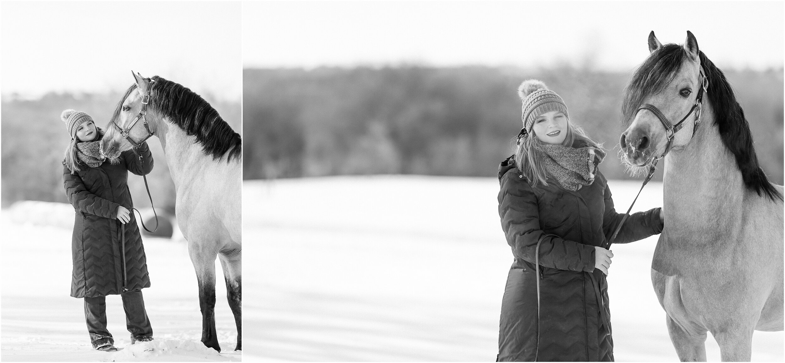 Oklahoma horse photographer winter styled shoot with quarter horses and wesh pony stallion at Johnson Performance Horses by Rachel Griffin Photography_6.jpg