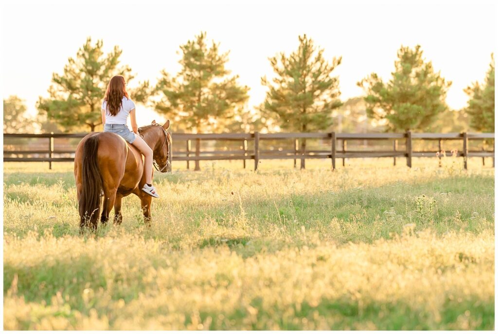 A young girl in shorts rides her bay gelding bareback in a tall, open field at sunset 