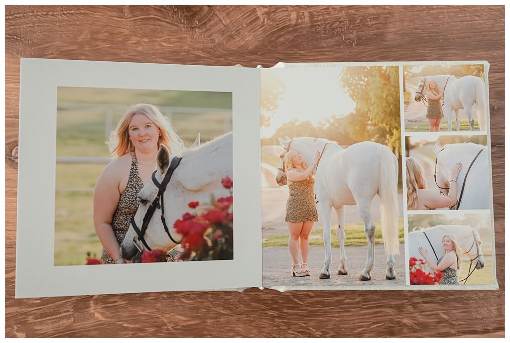 Rachel Griffin Photography equine portrait session with Oklahoma horsewoman and her geldings