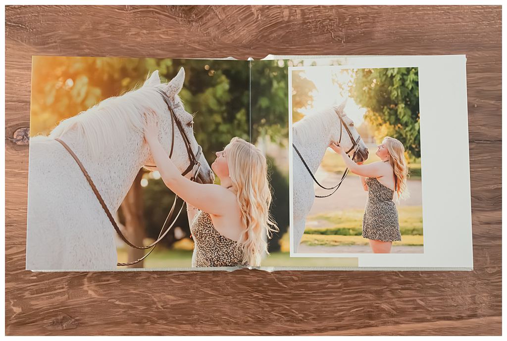 Custom-designed portrait album featuring fine art images of hunter jumper horses.