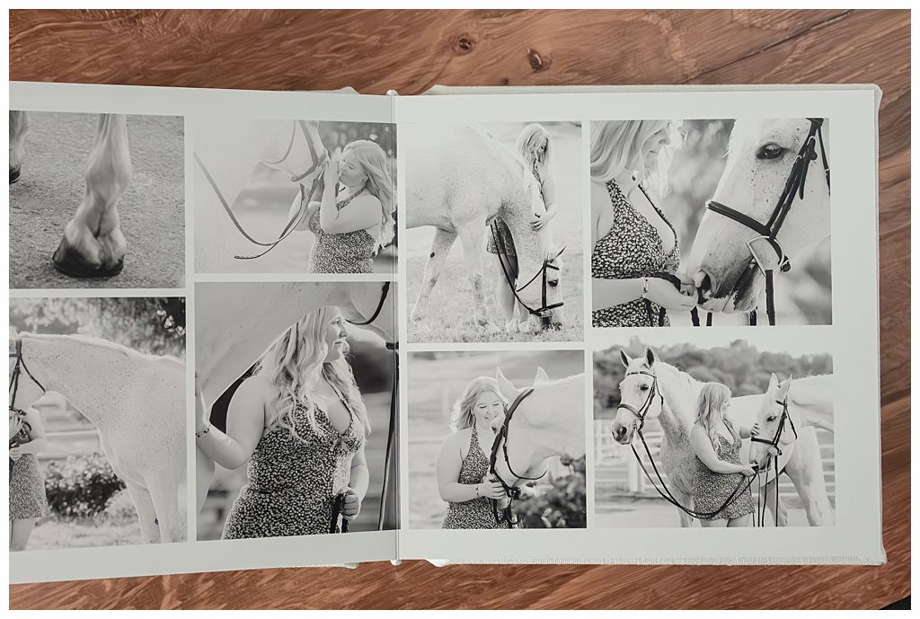 North Texas equestrian with two hunter jumper geldings featured in a luxury portrait album